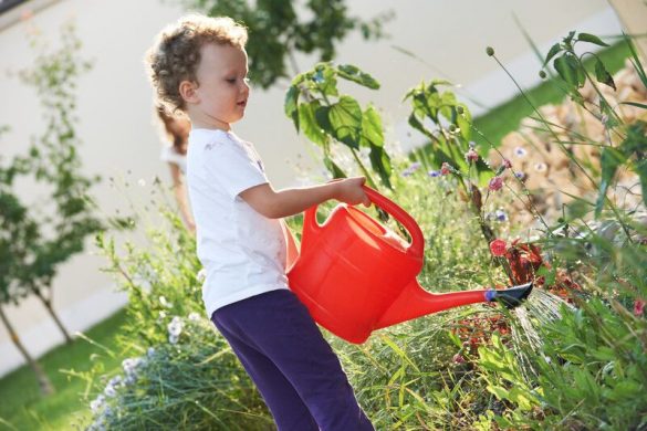 School Gardens for Cultivating Changemakers – Canadian Teacher Magazine